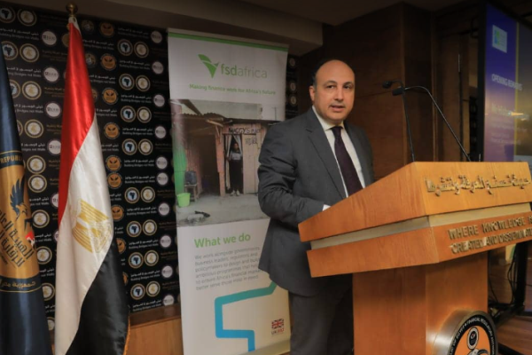 الرقابة المالية: مبادرة تنمية أفريقيا تدعم جهود مصر في تطبيق معايير الاستدامة